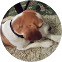 Tina Konstant profile picture